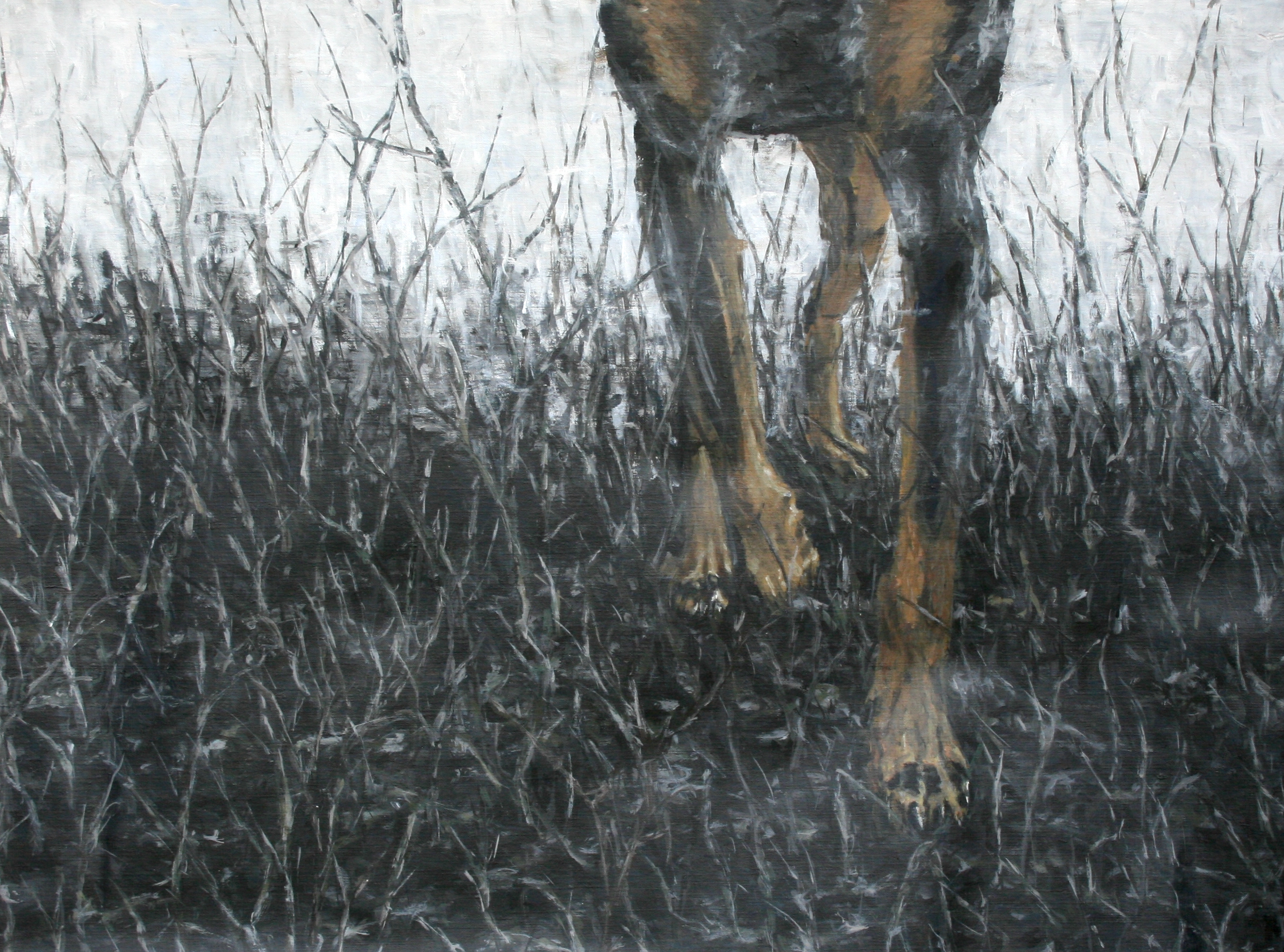 Clara Lundgrens painting captures a unique perspective, focusing on the legs of a dog in motion.